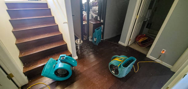Best Emergency water damage restoration  in Lake Wales, FL