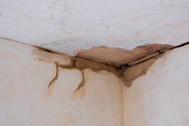  Lake Wales, FL Water damage restoration Pros