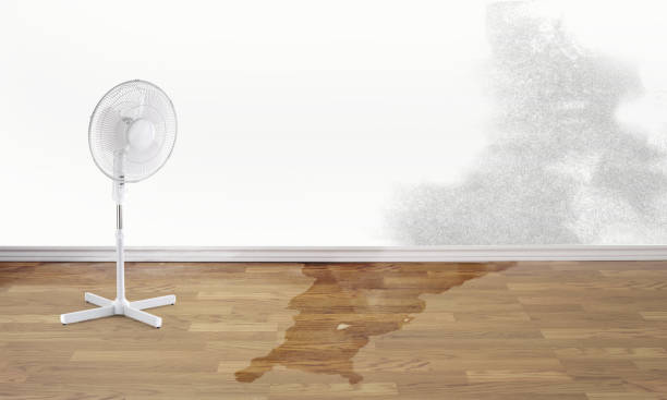 Best Fire Damage Restoration  in Lake Wales, FL