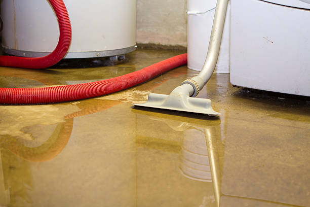 Best Water damage restoration near me  in Lake Wales, FL
