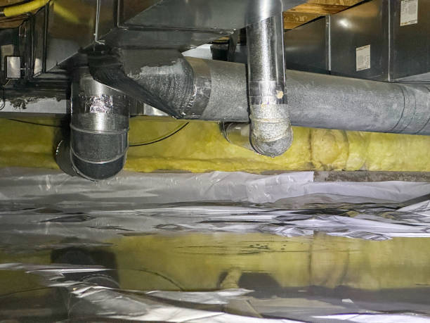 Best 24/7 water damage repair  in Lake Wales, FL